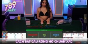 Cách bắt cầu rồng hổ chuẩn xác