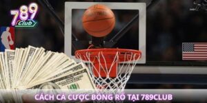 cách cá cược bóng rổ